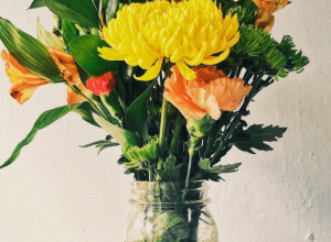 Donose ljubav, sreću i zdravlje: Ove TRI prelepe biljke obavezno imajte u svom domu