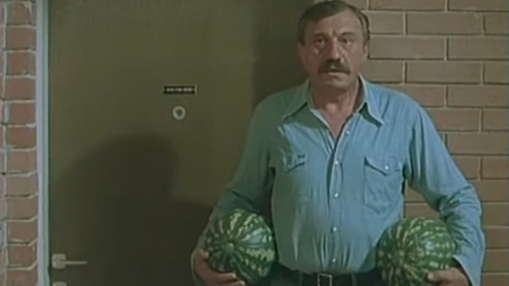 Njihov BRAK se raspadao zbog njegove DRUGE LJUBAVI: Malo ko zna Gidrinu suprugu, a u OVOM filmu su zajedno glumili (FOTO)
