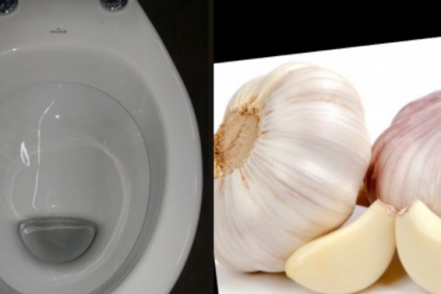Ubacite BELI LUK u wc šolju i gledajte ČUDO: Kad otvorite vrata od kupatila, SVE će vam biti jasno