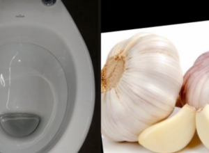 Ubacite BELI LUK u wc šolju i gledajte ČUDO: Kad otvorite vrata od kupatila, SVE će vam biti jasno
