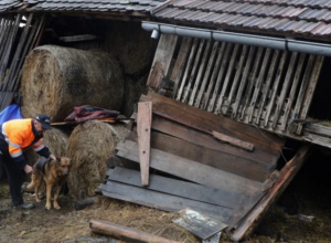SRAMNO! Ljudima na razrušenoj Baniji dele hemijske olovke umesto da im obnavljaju kuće!
