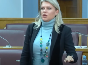 Zar niko nije pročitao Draginjin tvit kao odgovor Šešelju i gde su tada bili razni klubovi, NVO i sl. branitelji imena i lika!?
