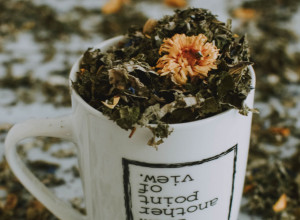 Biljni ČAJEVI za smirivanje ŽELUCA: Ublažavaju MUČNINU posle BURNE noći, ali pomažu i kod GRČEVA u stomaku