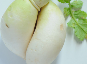 Po receptu čuvenog travara VASE Pelagića: Ovo je najbolji lek za SUVI KAŠALJ a kupuje se na PIJACI