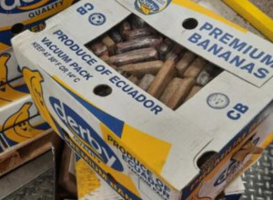 KOKAIN MEĐU BANANAMA: U skladištu firme u Hercegovini pronađen kokain vredan više 10 miliona evra