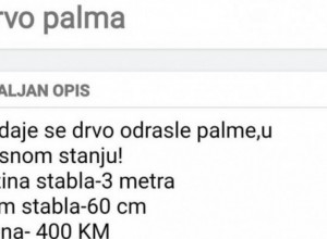 NE MOŽE BIZARNIJE U Mostaru pokušali da iščupaju palmu i da je prodaju za 400 km!