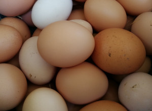 Nikada ne ostavljajte JAJA na OVOM MESTU u FRIŽIDERU: Ovo vam bukvalno nikad ne bi palo na pamet!