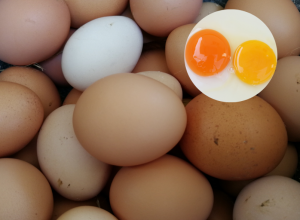 Da li je ZDRAVO popiti ŽIVO JAJE? Evo šta može da se DESI u organizmu ako to radite, stručnjaci su IZRIČITI!