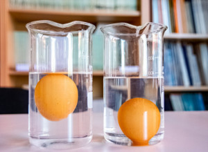 Kako proveriti SVEŽINU jaja? Zahvaljujući ovom TESTU nikada više nećete kupiti MUĆAK