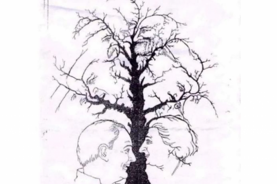 Koliko LICA vidite na ovoj ilustraciji? Samo mali broj LJUDI može sve da uoči, ali ako zapazite samo ČETIRI u velikom ste PROBLEMU