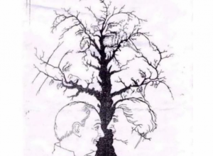 Koliko LICA vidite na ovoj ilustraciji? Samo mali broj LJUDI može sve da uoči, ali ako zapazite samo ČETIRI u velikom ste PROBLEMU