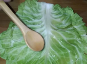 Zaboravljeni narodni lek: Naše bake su se klele u NJEGA, evo šta sve leči LIST KUPUSA i kako ga iskoristiti