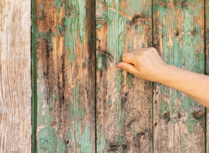 Kad KUCAMO U DRVO da izbegnemo zlo činimo VELIKI GREH: Starac Ilija Nozdrin smatra da to NIKAD ne bi trebalo da radimo