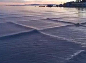 OPASNA POJAVA UZNEMIRILA HRVATE: Snimljena na Jadranu gde se skoro nikad ne pojavljuje, zna da bude smrtonosna (VIDEO)