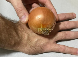 Prislonite CRNI LUK na ruku: Sačekajte PET MINUTA i ostaćete u čudu - njegov UČINAK je neverovatan po zdravlje