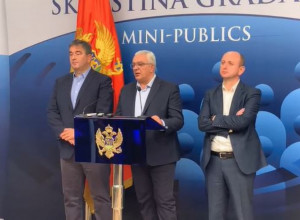 MANDIĆ: Nova Vlada neće biti ekspertska nego potpuno politička i uskoro će biti formirana!