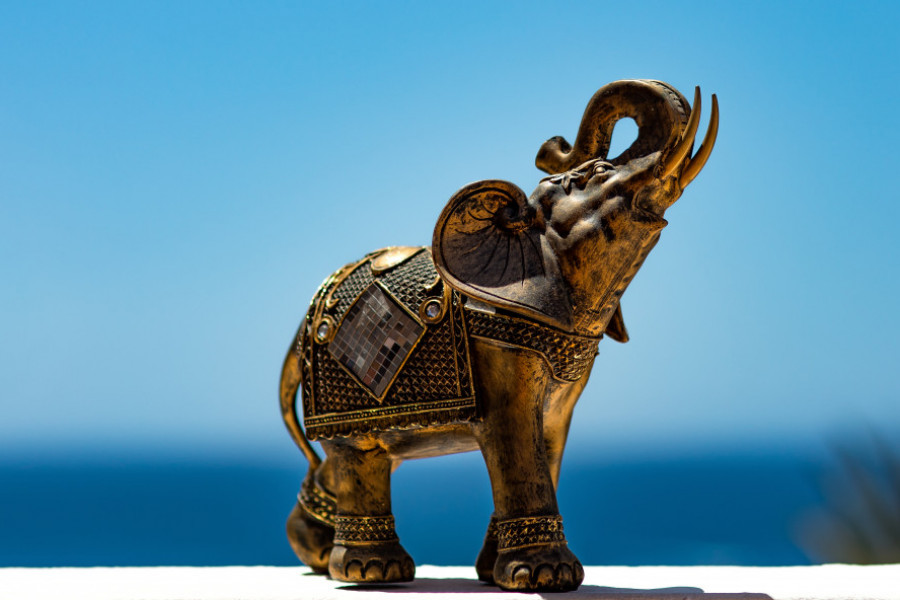 Mnogi ljudi imaju figuricu slona u kući: Evo gde treba da je postavite da biste privukli sreću i novac