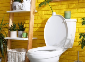 Slošiće vam se kad čujete: Evo šta se dešava kada pustite vodu, a ne spustite poklopac od WC šolje