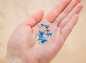 Stručnjaci upozoravaju: Mesečno pojedemo komad PLASTIKE koja nam razara CREVA, nakon ovoga jednu stvar više nikada nećete RADITI!