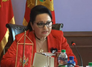 VAKAT JE! Čeka se otvaranje slučaja "Bećirović" - kako su Ćoćo i Medenica pazarili zemljište u Kolašinu