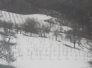 DOLAZI LI ZIMA PRERANO? Sneg u Hrvatskoj i Sloveniji, zabelelo se i u Austriji (FOTO)