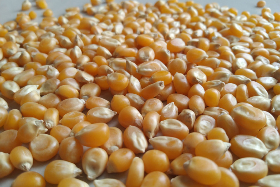 Nismo znali da su KOKICE ovoliko ZDRAVE: Ovo su ČETIRI razloga zbog kojih ćete ih jesti SVAKI DAN