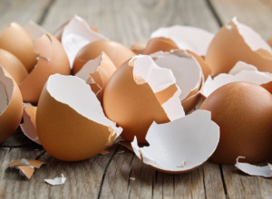 Iskoristite LJUSKE od jaja nakon Uskrsa: Napravite RASTVOR koji biljke vraća u život