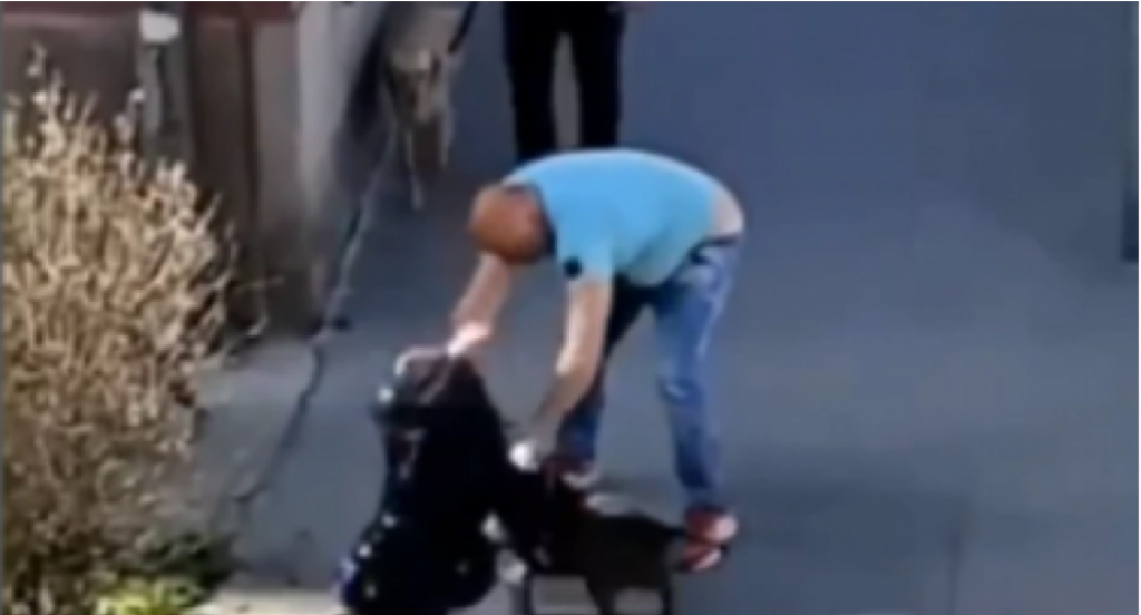 Svi su heroji na INTERNETU, a niko na ULICI: Gde smo bili danas da spasemo ženu koju je mučki tukao slučajni PROLAZNIK!