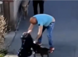 Svi su heroji na INTERNETU, a niko na ULICI: Gde smo bili danas da spasemo ženu koju je mučki tukao slučajni PROLAZNIK!