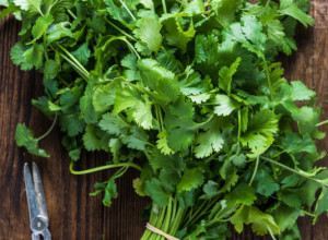 Potopite PERŠUN u vodu sa sodom bikarbonom: Ovaj trik svaka DOMAĆICA treba da zna, oduševiće vas