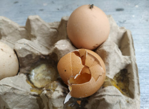 Ubacite ŠIBICE u vodu: Možda je čudno, ali JAJA više neće PUCATI tokom kuvanja