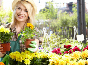 Sutra majkama, ženama i sestrama NE POKLANJAJTE ovaj cvet: Veruje se da donosi NESREĆU, a u Srbiji ga prodaju na svakom koraku