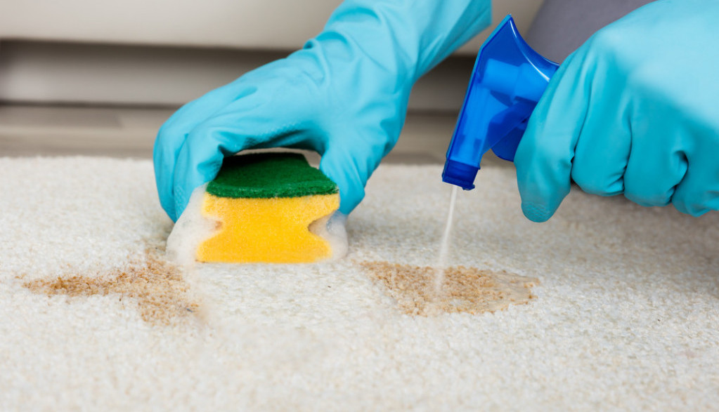 Uz OVU kombinaciju će TEPIH biti čist kao suza: Tajna leži u namirnicama u KUHINJI