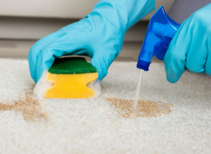 Košta samo 20 dinara, a čini čuda za tepihe: Otklanja i najgore fleke, kada ga oribate s ovim, izgledaće kao nov