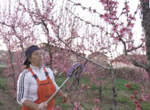 Sama obrađuje 4 HEKTARA zemlje, bavi se fudbalom i ima još JEDAN posao: Aleksandra je SAMOHRANA MAJKA, a otkriva kako SVE postiže