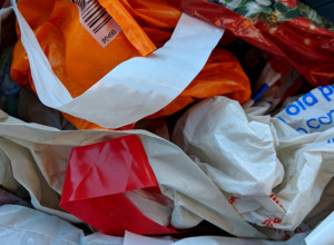 Znate li šta PLASTIČNE kese rade vašem ORGANIZMU? Iz ovih OSAM primera zaključićete da ih više NIKADA nećete koristiti