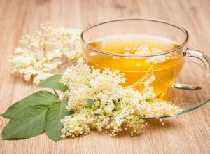Čaj od CVETOVA ZOVE koristi se u lečenju bronhitisa, kašlja, početne upale pluća i kijavice, ali to nije sve: Evo kako možete da napravite ovaj TOPLI napitak