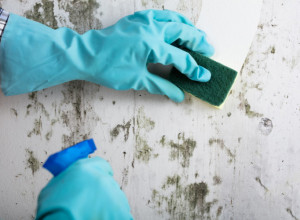 Uz OVE dve stvari, zidovi će biti BELI kao sneg: Svi ih imamo u kuhinji, a nije soda bikarbona