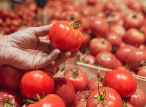 Kako da prepoznate domaći, neprskani paradajz? Potrebno vam je nekoliko sekundi da se uverite da li je tretiran hemikalijama