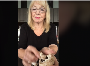 Ako na ovaj način spremate PEČURKE pravite OGROMNU grešku: Zadrže svu VODU u sebi i na taj način im se POKVARI ukus