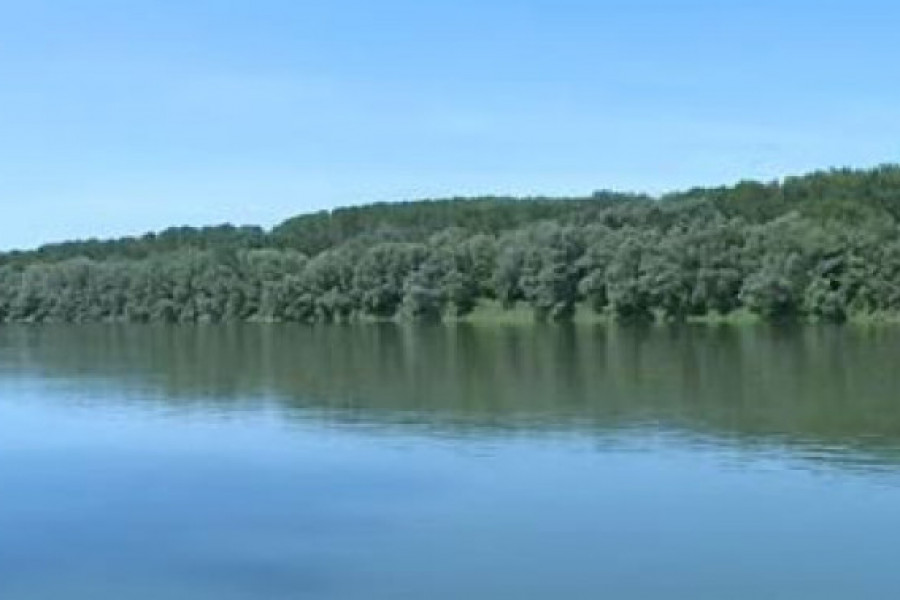 SAVA IZBACILA 2 TELA: Horor na obali, policija primila dojavu