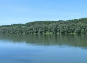 SAVA IZBACILA 2 TELA: Horor na obali, policija primila dojavu