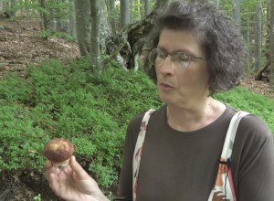 Otišla iz grada i OAZU napravila na Jelovoj Gori: Milka je pravi MAHER sa glivama, a evo zašto su one od PRESUDNOG značaja za čovečanstvo