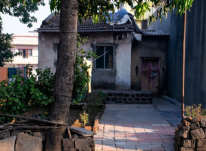 Tri biljke koje DONOSE NESREĆU! Za njih se veruje da su ZLE i da ih NIKAKO ne treba gajiti blizu PORODIČNOG doma, tragedija se prenosi na POTOMSTVO