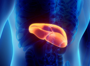 Regenerišite jetru za 3 dana nakon Uskrsa: Gastroenterolog podelio ključne savete za obnovu vašeg organizma