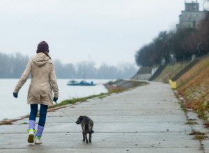 Šetala se sa psom pored REKE kada je osetila oštar bol: Krv je šikljala svuda, jedva su izvukli žive glave od jezivog napada DIVLJE ŽIVOTINJE