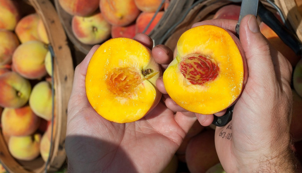 Bakin savet zlata vredan: Kako da vam tvrde breskve sazru za noć