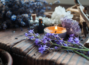 Neće vas ni taknuti: Evo kako da oterate komarce iz kuće i bašte uz pomoć mirišljavih biljaka