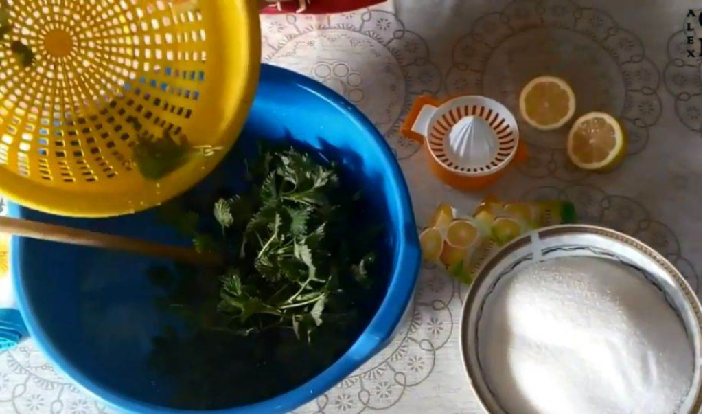 Najjeftiniji ZDRAV napitak: Najbolje rashlađuje preko vrelih letnjih dana, a ne košta NIŠTA