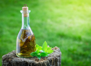 Recept za domaći LIKER od MENTE: Naše bake su ga stalno pravile tokom LETNJIH dana